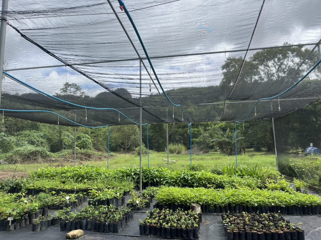 Fiocruz mata atlântica