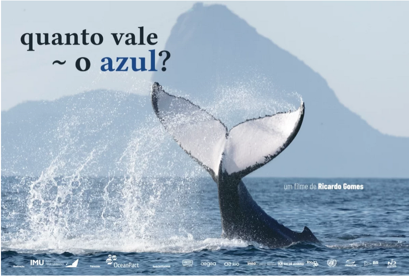 Poster filme Quanto vale o azul